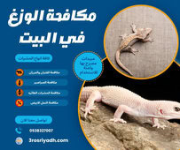 مكافحة الوزغ في البيت