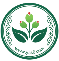 فروش عمده گل و گیاه تهران و کرج