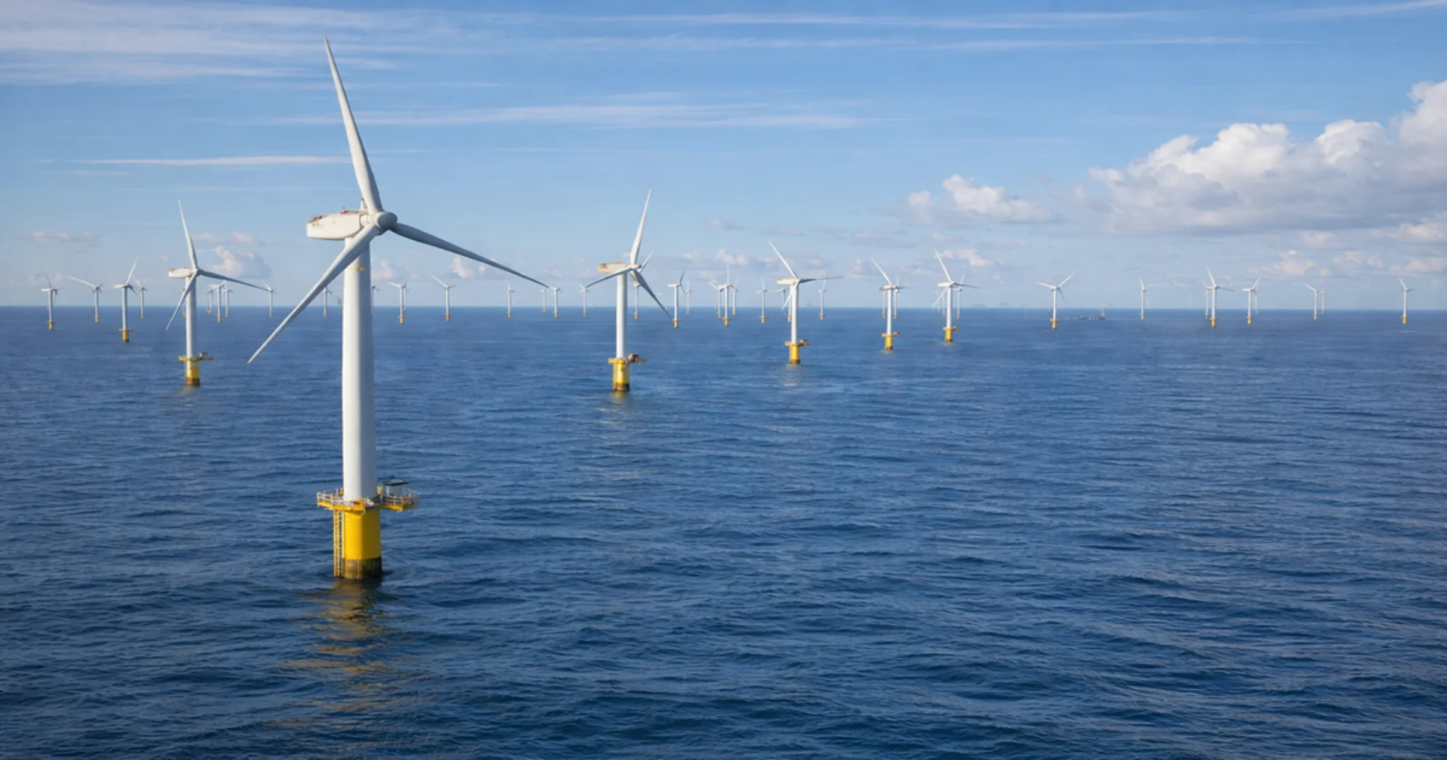 Offshore wind farm