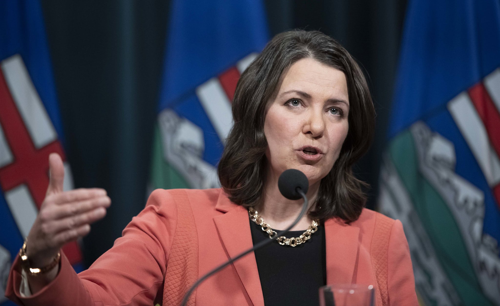 A woman with shoulder-length brown hair and wearing a peach blazer over a black blouse speaks at a microphone in front of three blue, green, red and white flags.