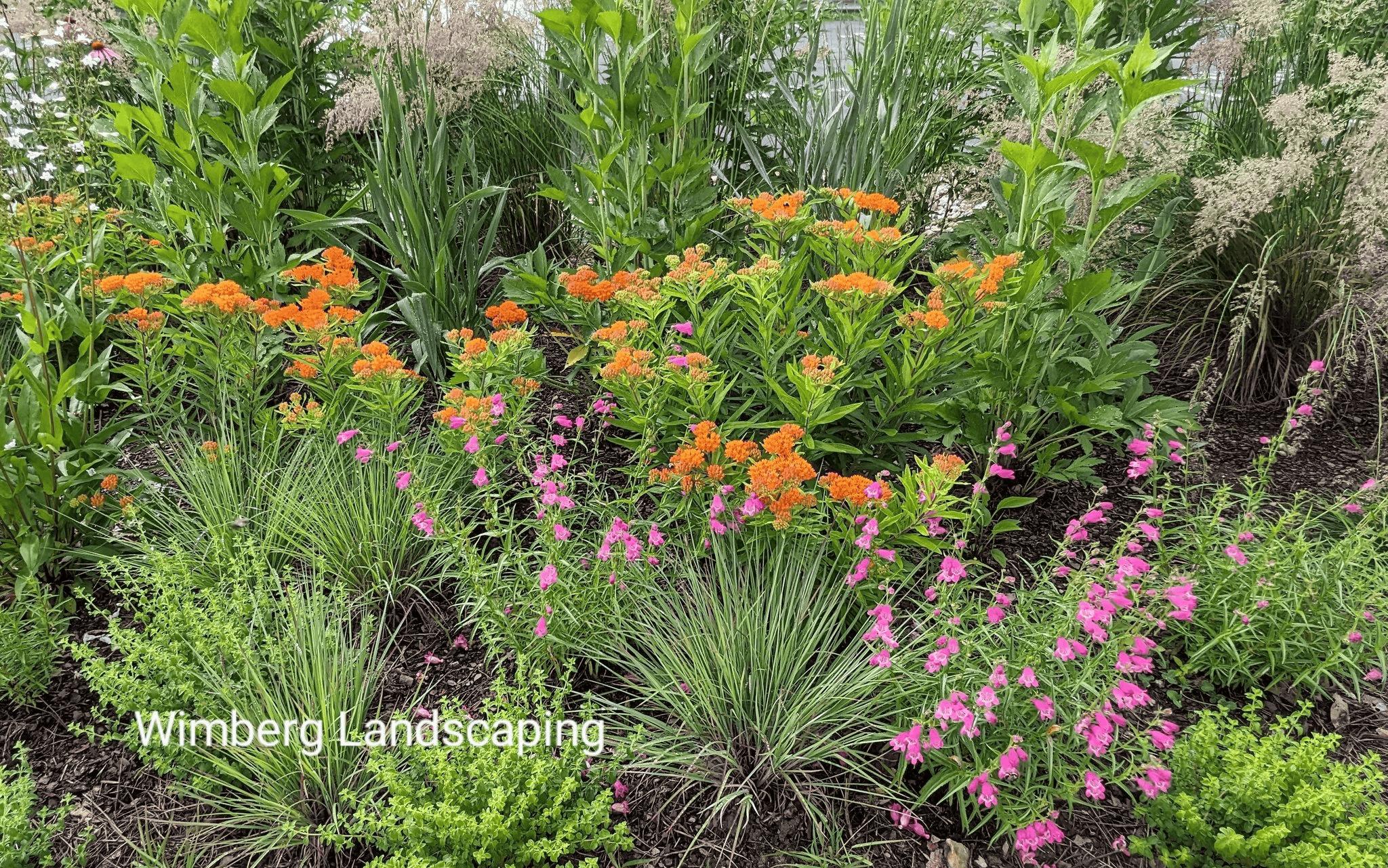 Read more about the article Wimberg Garden Receives Award from Ohio Landscape Association