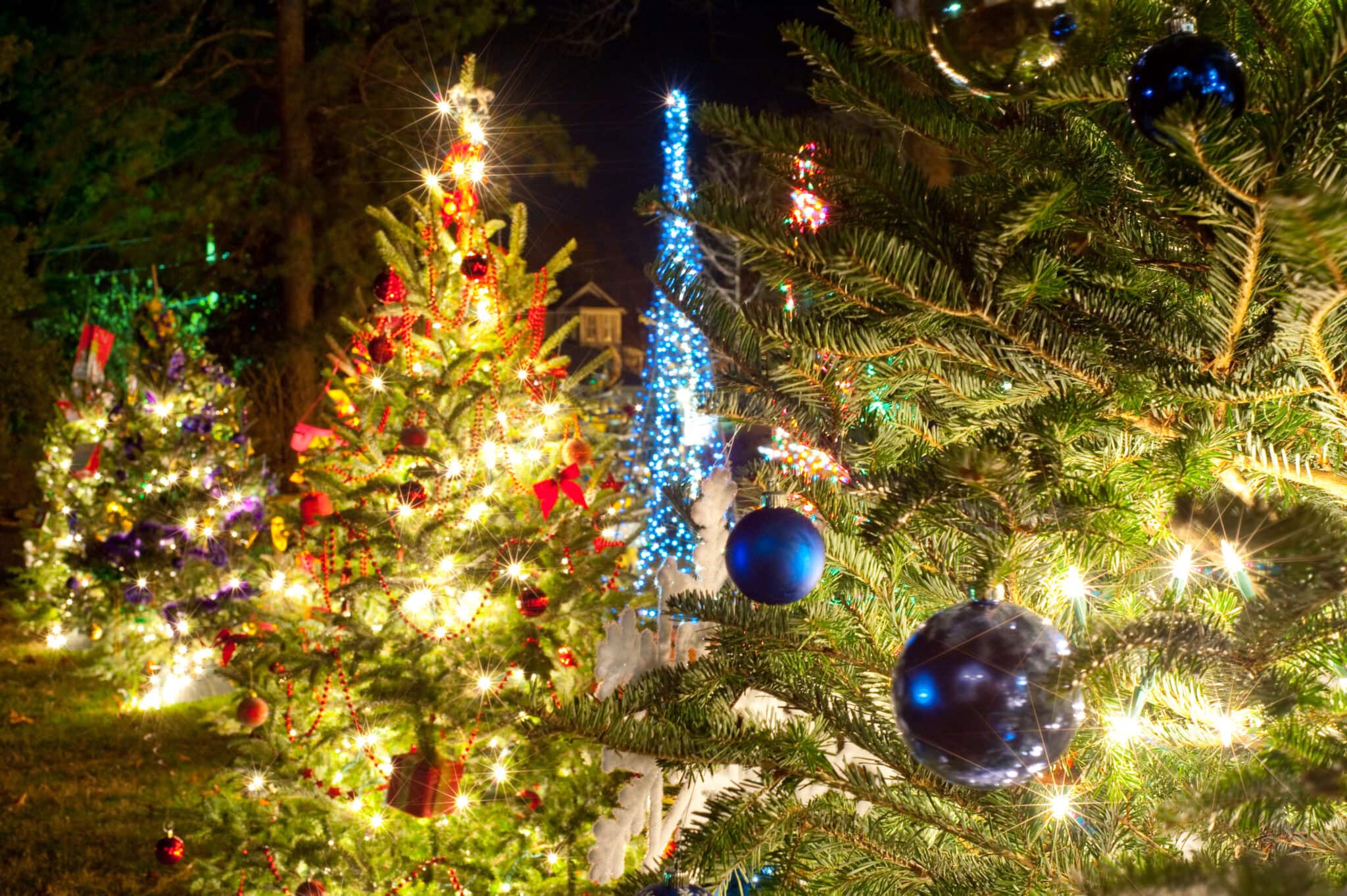 A festive Christmas tree decorated with lights and ornaments at night.