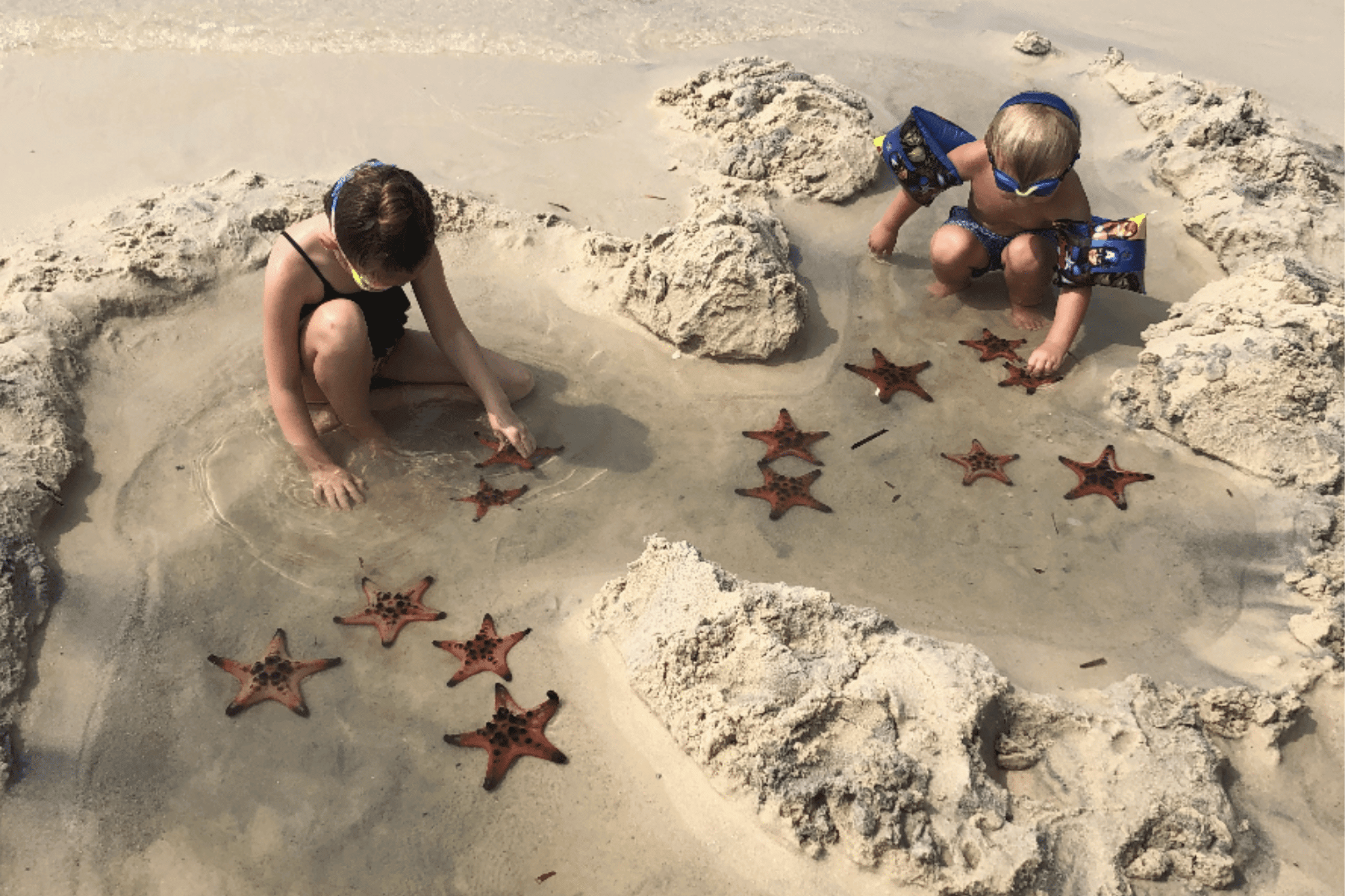 kids playing on a beach with orange star fishes.