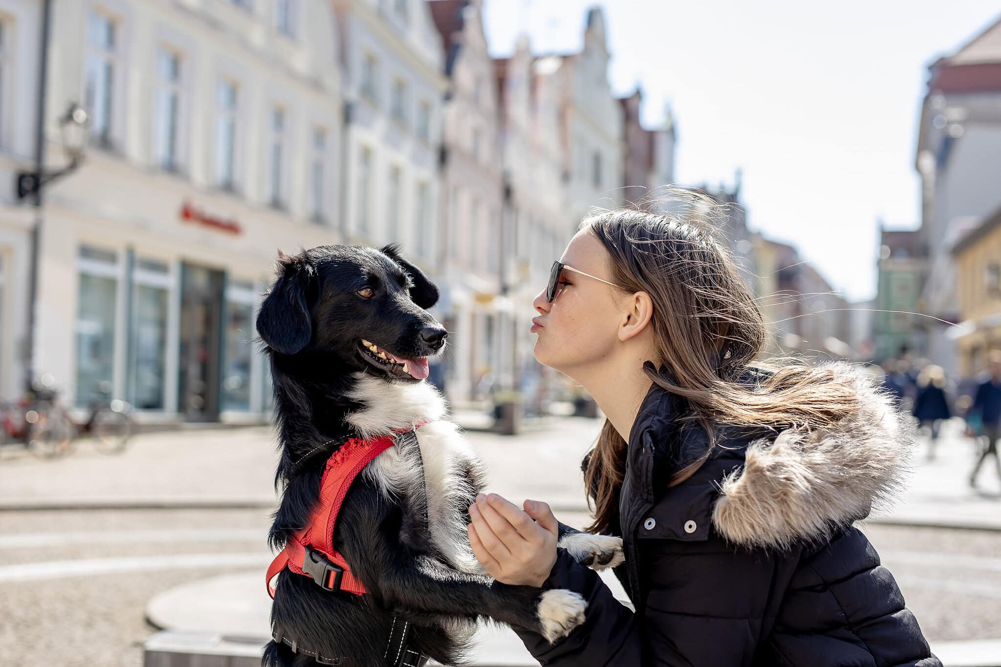 Spürst die tiefe Verbundenheit und Liebe zwischen dem Mädchen und ihrem Hund in diesem innigen Moment unter freiem Himmel. Ein Augenblick purer Freude und Freundschaft, festgehalten an einem sonnigen Tag inmitten der Stadtkulisse mit der Canon EOS R & dem Sigma Art 50mm f1.4 in Thüringen