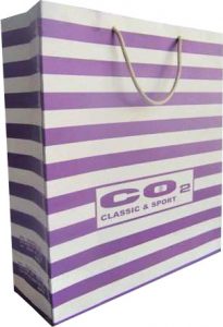 Dikey orta boy karton çanta 1