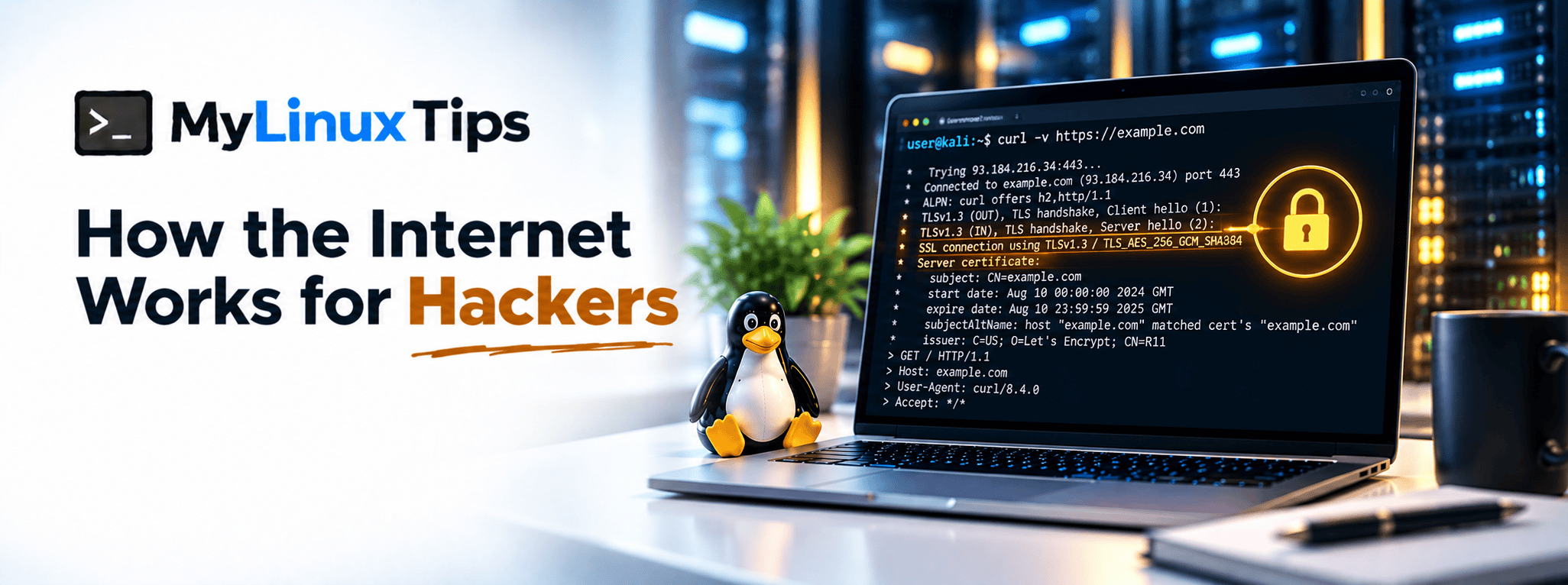 How the Internet Works for Hackers