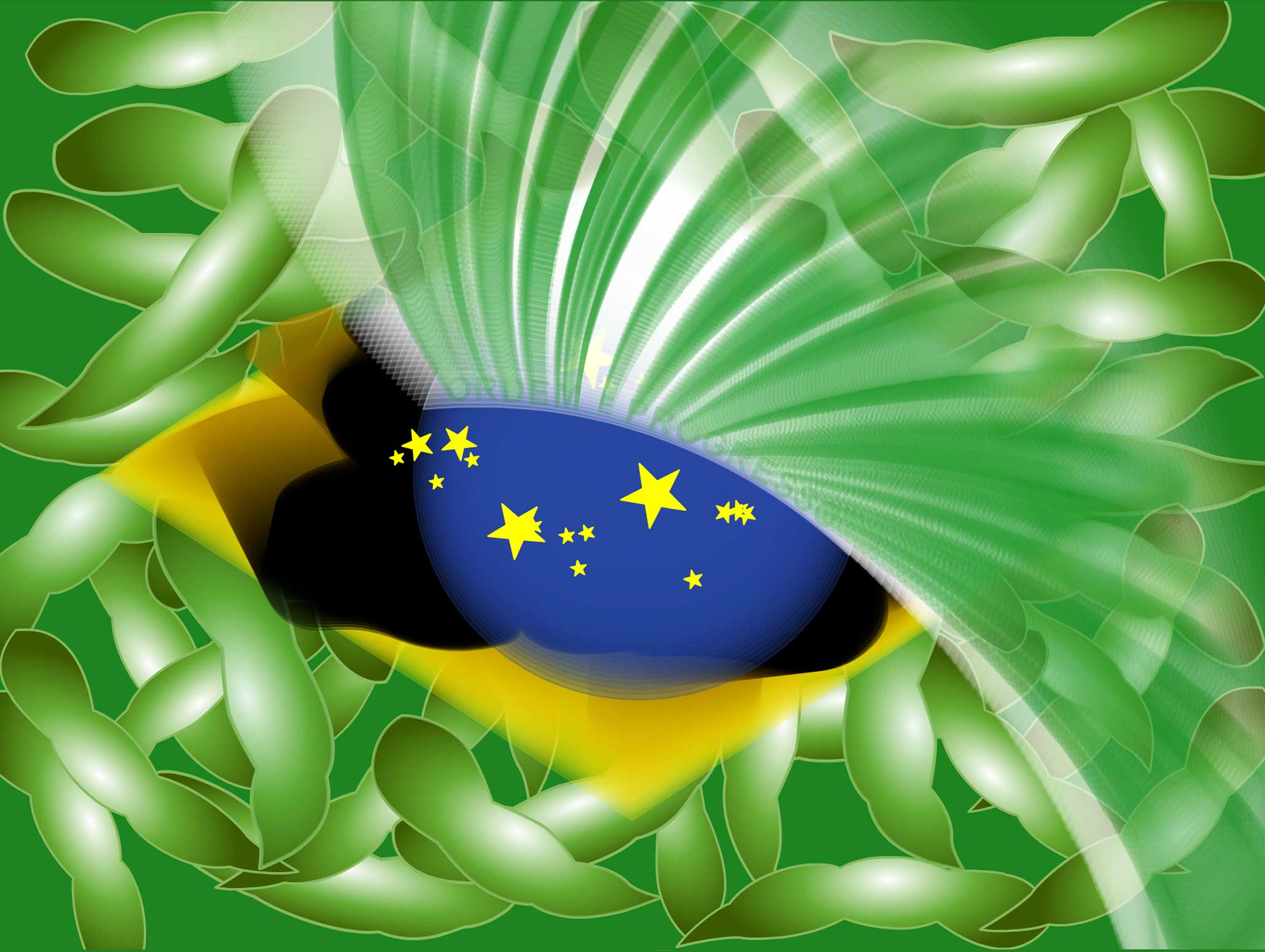Migration Flags, 2005-2007, Brazil - China 1
