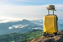 mysore to ooty one day tour package