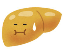 脂肪肝のイラスト