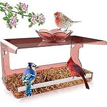 Classroom Window Bird Feeders