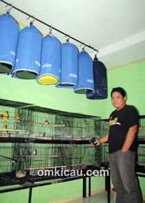 U-Bye Pasopati Bird Farm