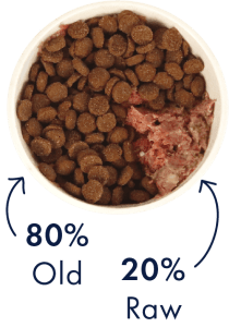 Day 1 - 3 transitioning your dog to a raw diet = 80% old diet + 20% new diet