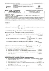 Examen resuelto EBAU Matematicas II 2019 - valencia - convocatoria ordinaria