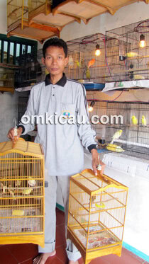 Nano Canary Jakarta