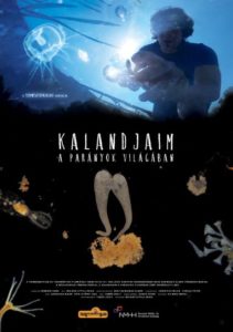 Kalandjaim a parányok világában