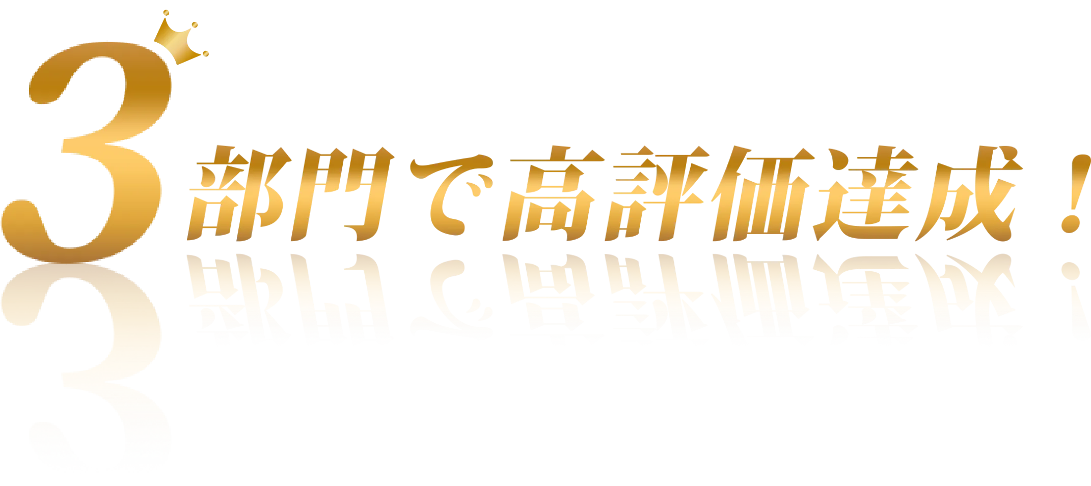 3部門で高評価達成!