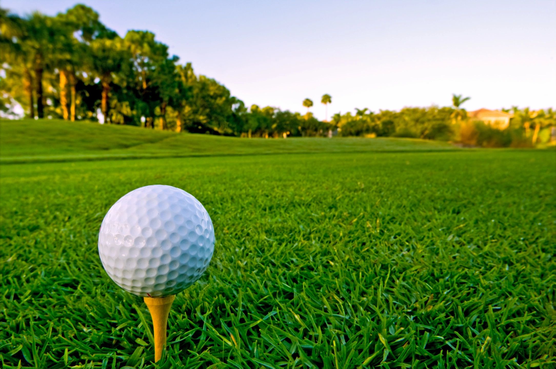 cigar rollers and golf