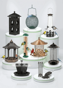Top Sunflower Seed Bird Feeders That Actually Work