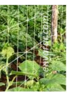 HORTOMALLAS