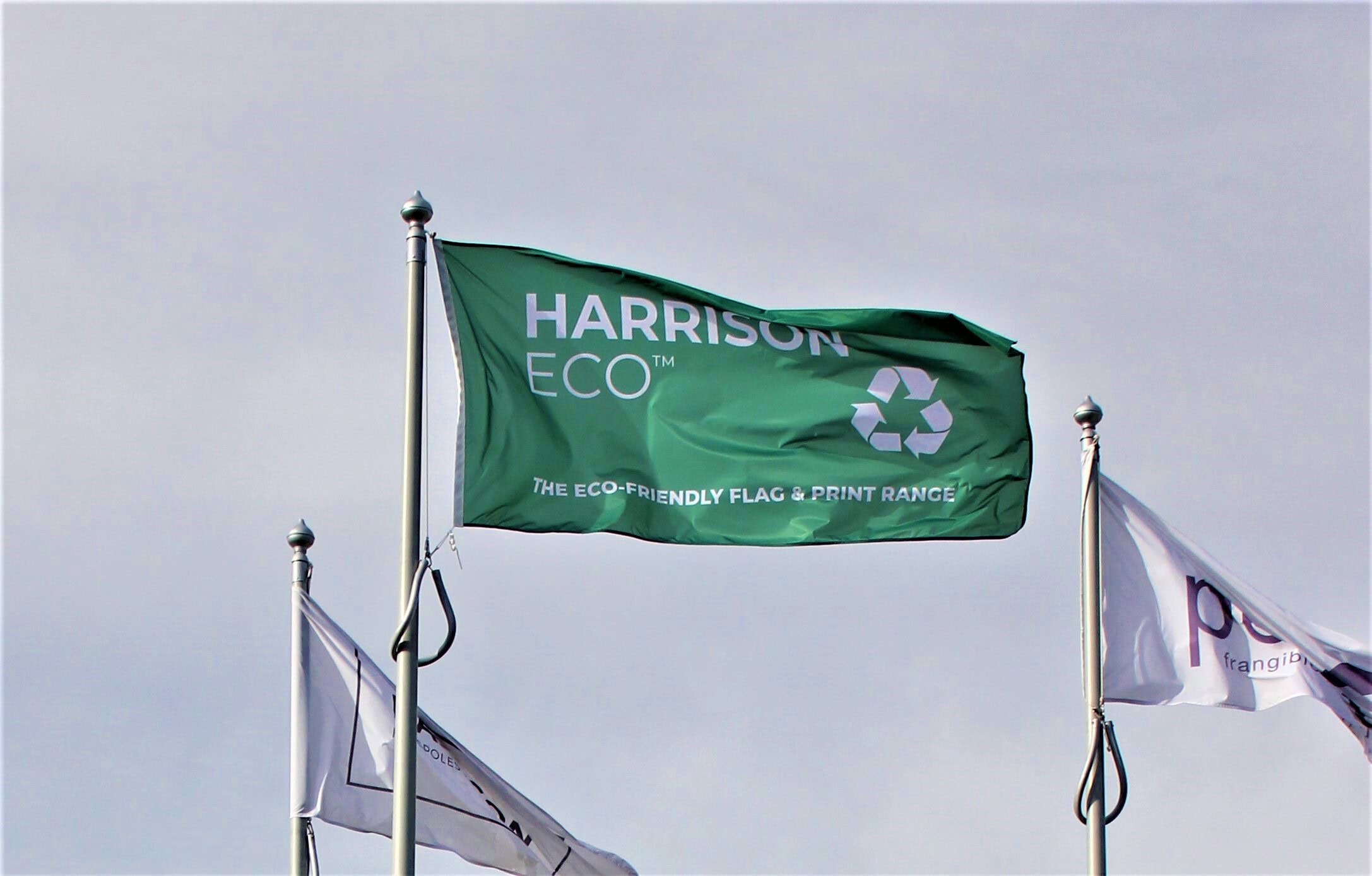 harrison flg pic