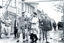 libertação de auschwitz.