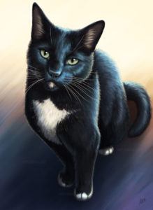The Dude - Tuxedo cat