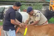 Road Safety Raigarh : सड़क हादसे रोकने Raigarh ट्रैफिक पुलिस की अनोखी पहल