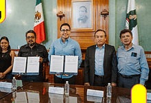 escarabajo descortezador en San Miguel Cerezo