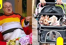 Pedro Sola violencia perritos