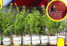 2.6 millones de plantas Hidalgo
