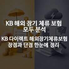 KB 해외 장기 체류 보험 모두 분석 - KB 다이렉트 해외장기체류보험 장점과 단점 한눈에 정리
