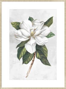 Pearly Beauty I - 10cm Mount Board Sm. Box Champagne 