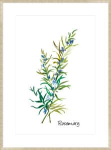 Rosemary II - 10cm Mount Board Sm. Box Champagne 
