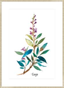 Sage II - 10cm Mount Board Sm. Box Champagne 