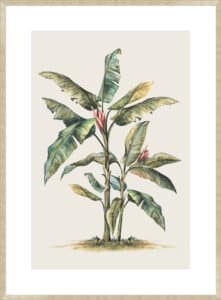 Tropical Daydream I - 10cm Mount Board Sm. Box Champagne 