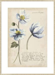 Garden Studies III - 10cm Mount Board Sm. Box Champagne 