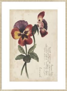 Garden Studies II - 10cm Mount Board Sm. Box Champagne 