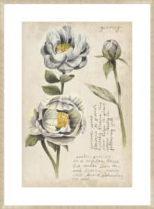Garden Studies IV - 10cm Mount Board Sm. Box Champagne 