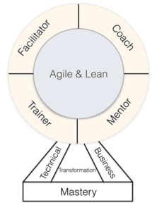 Professional Agile Coach