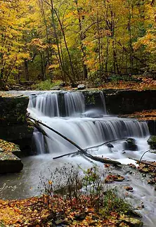 dcreek