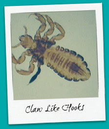 clawlikelicelegsmalelouse