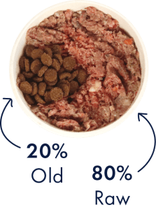 Day 10 - 12 transitioning your dog to a raw diet = 20% old diet + 80% new diet