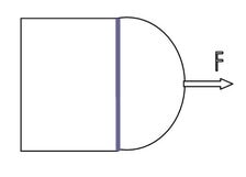231