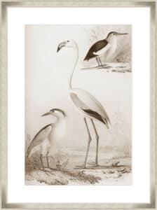 Sepia Water Birds I - 10cm Mount Board
