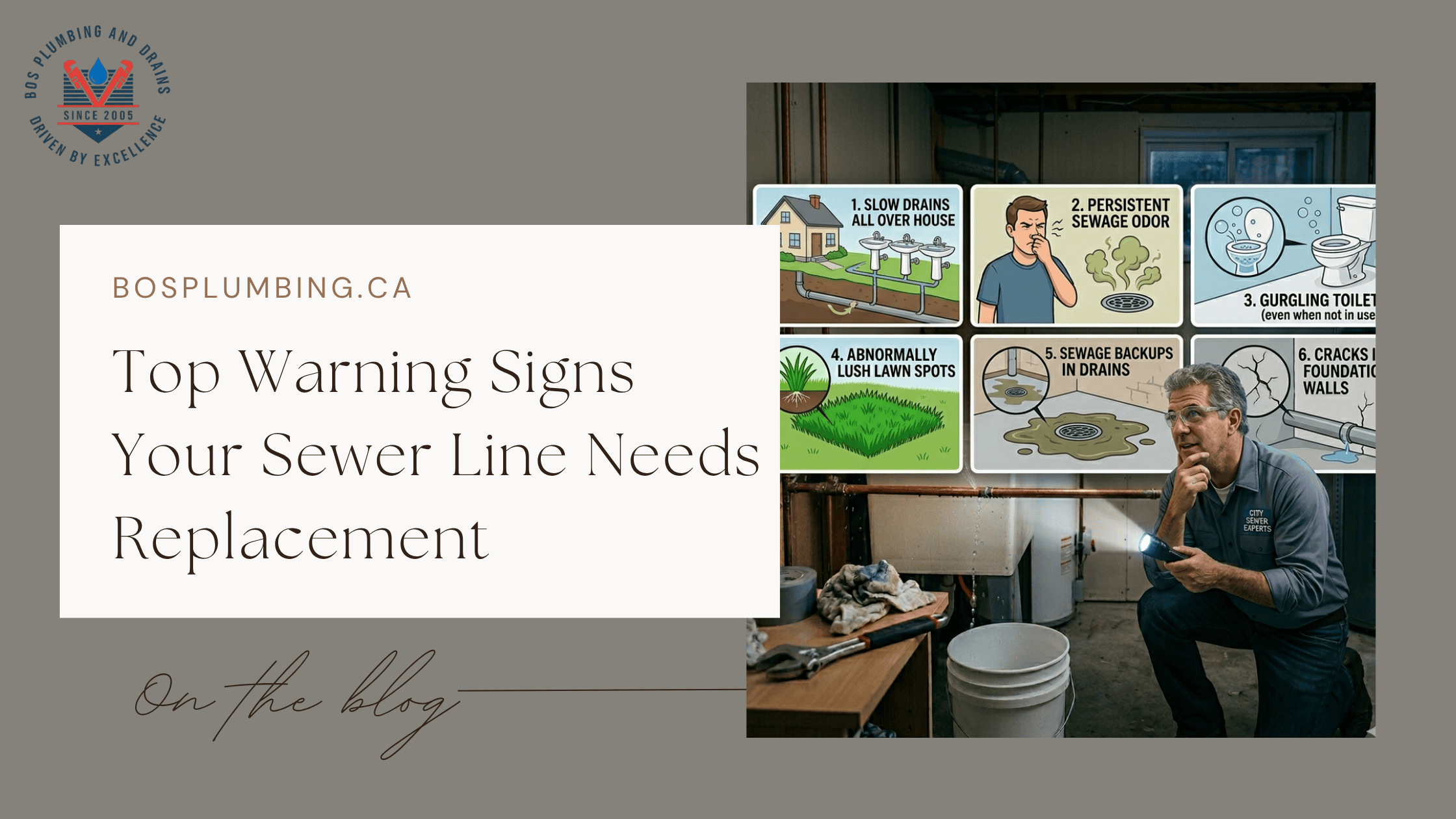 Top Warning Signs Your Sewer Line Needs Replacement