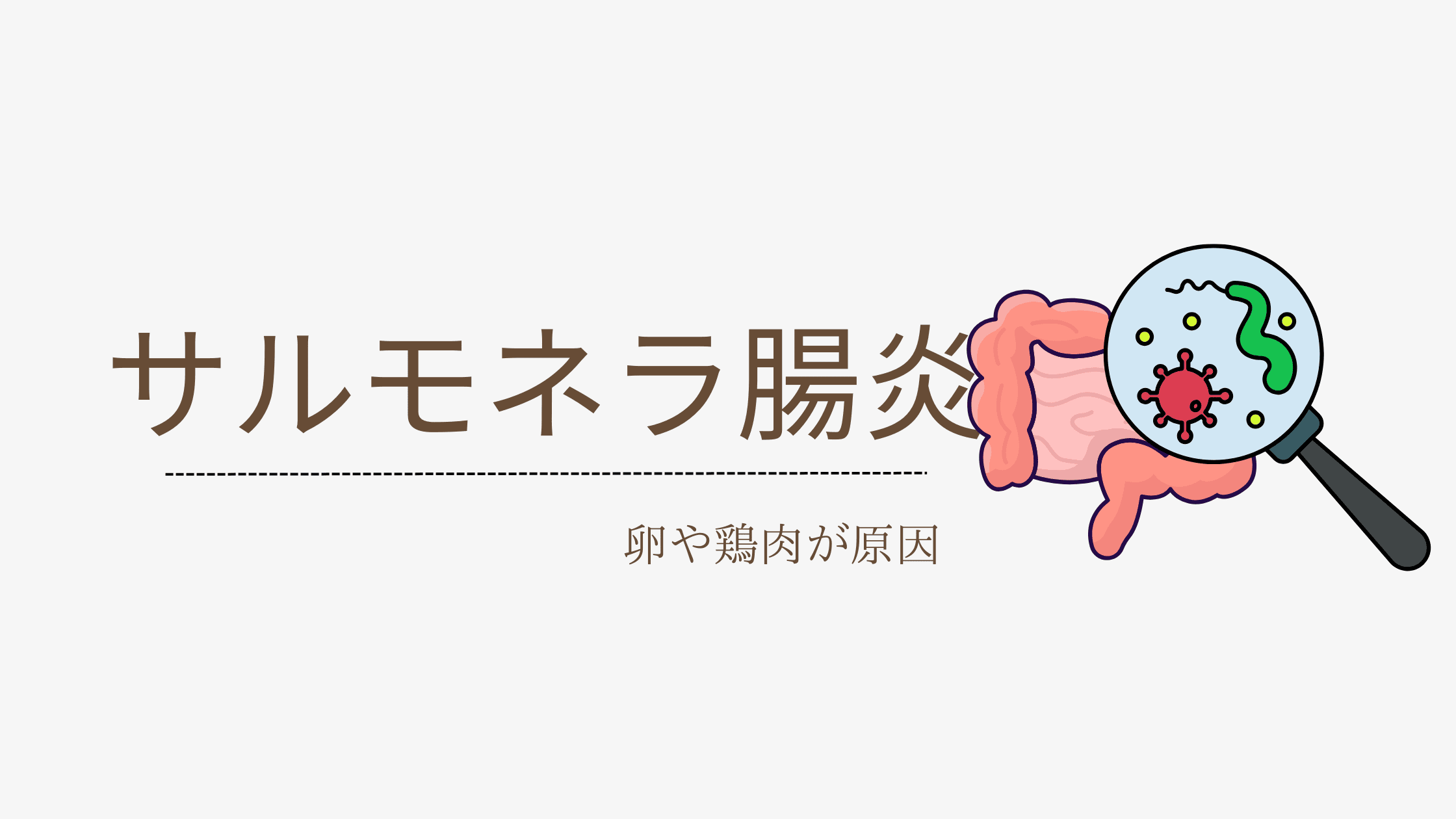 サルモネラ腸炎とは