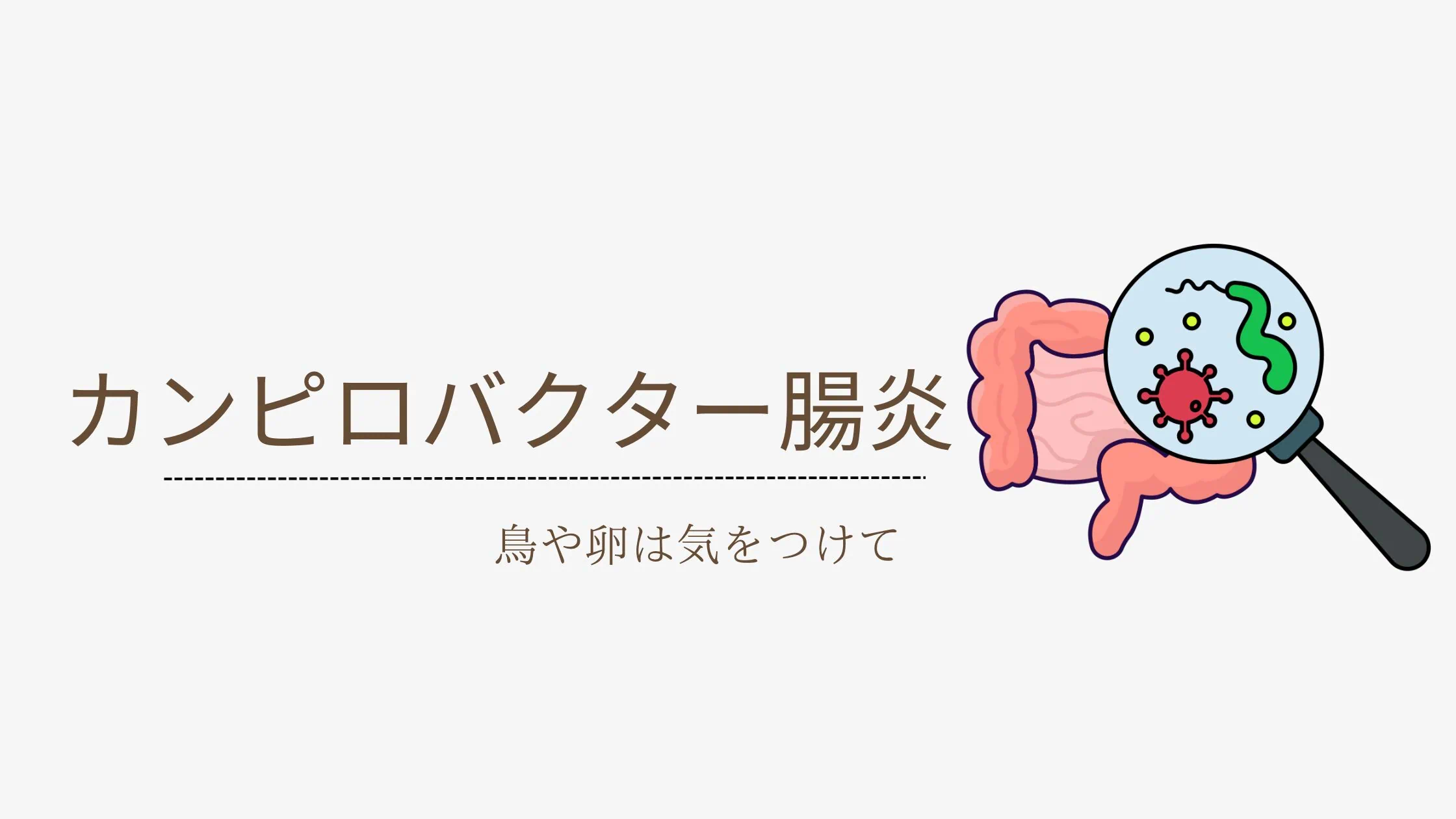 カンピロバクター腸炎