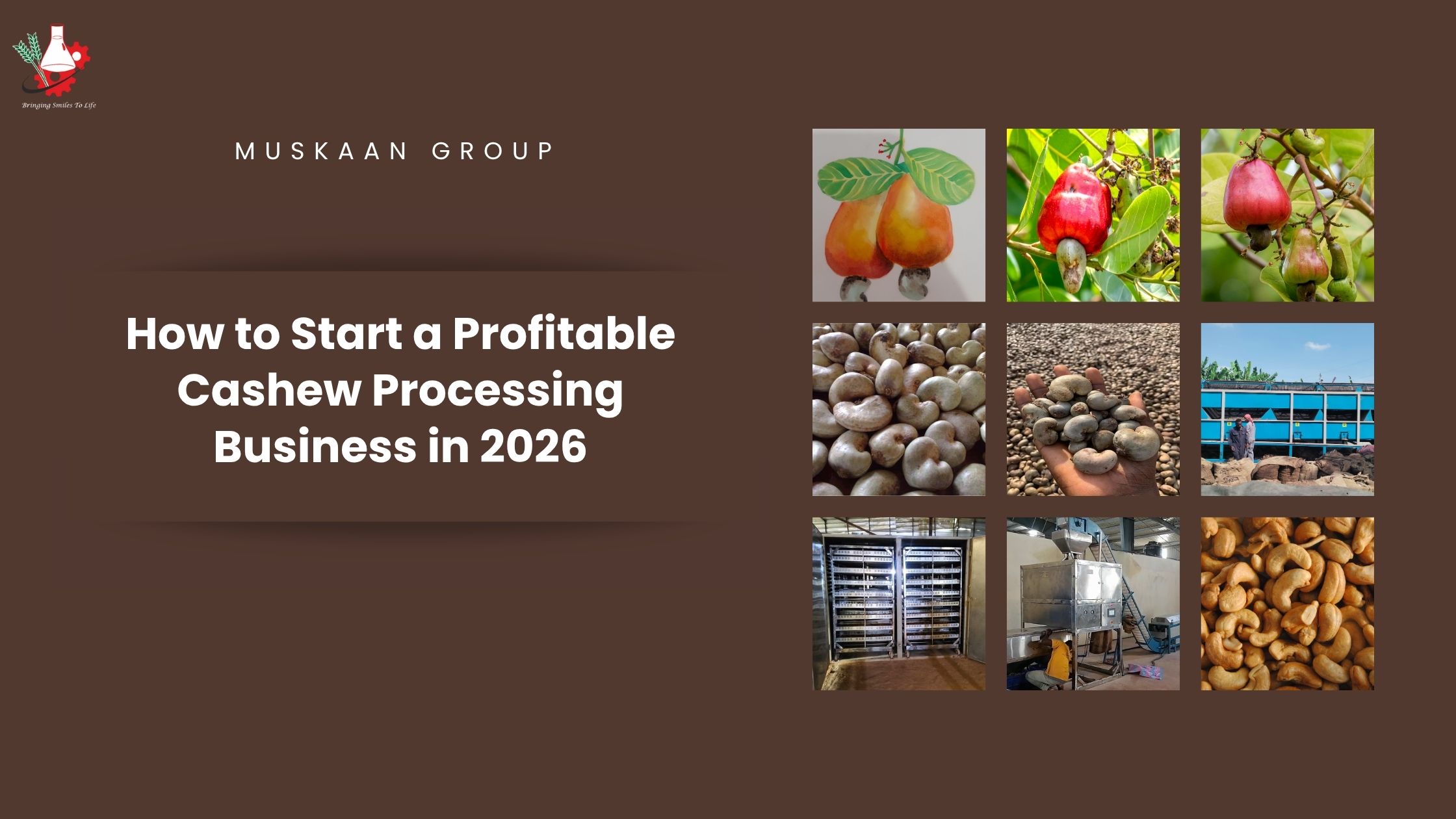 How to Start a Profitable Cashew Processing Business in 2026 Cashew Processing Business