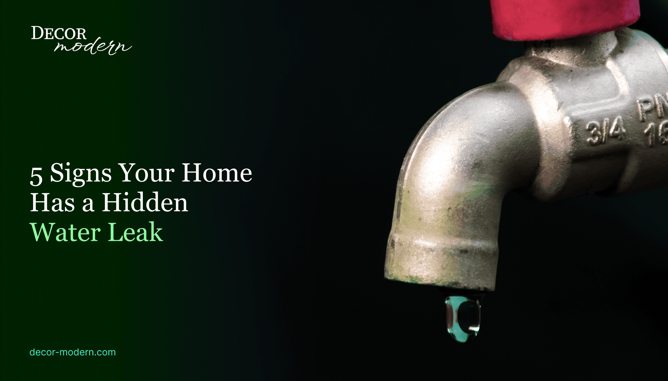 5 Signs Your Home Has a Hidden Water Leak