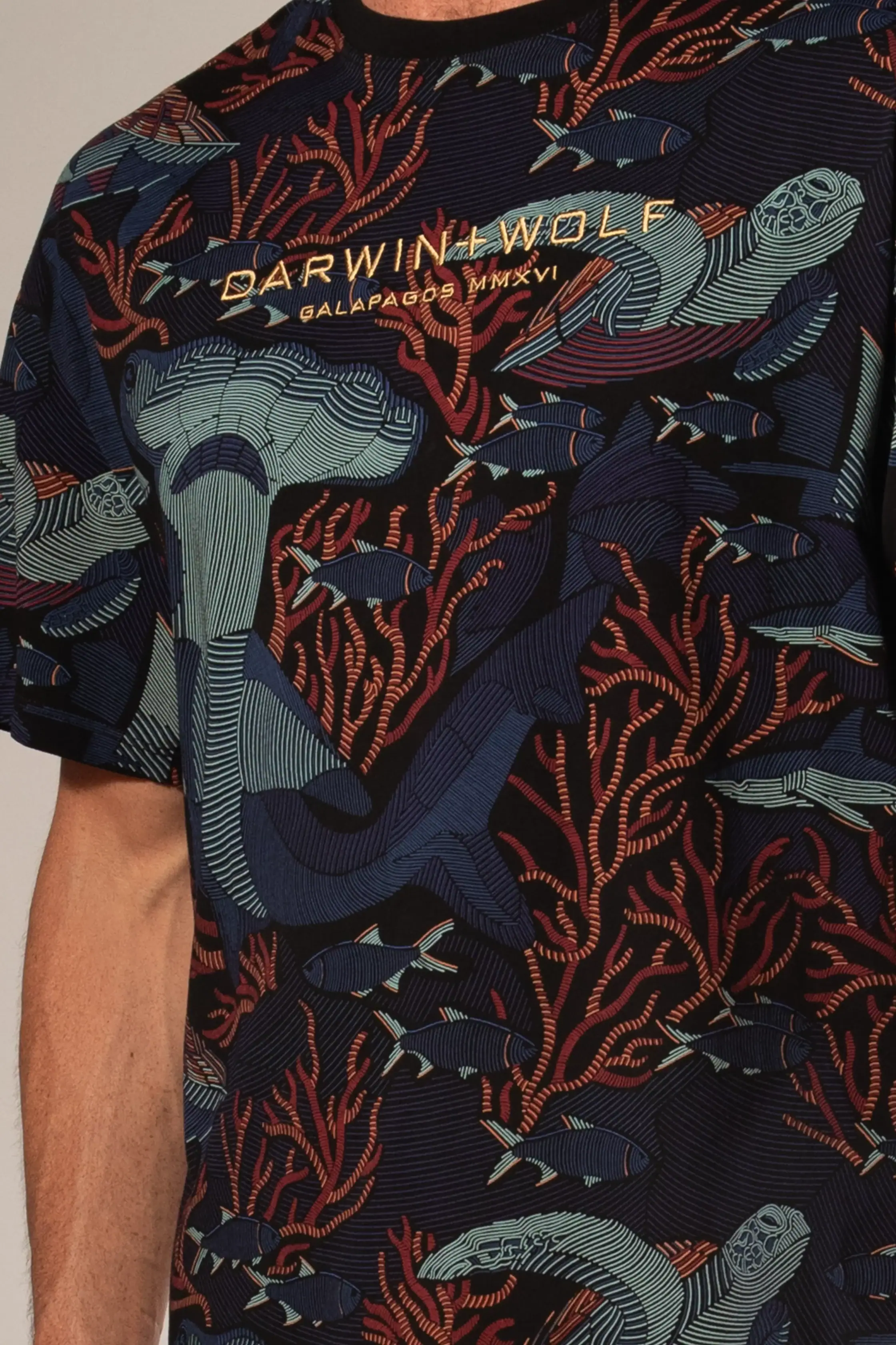 DARWIN + WOLF GALAPAGOS OCT 2025-14361